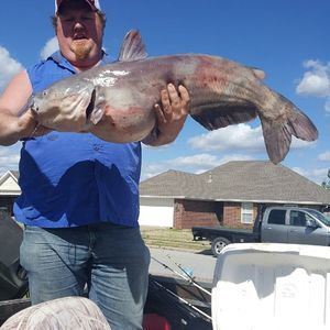 Meet your Posher, Curtis